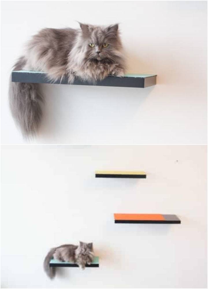 Awesome DIY Cat Shelves Tree