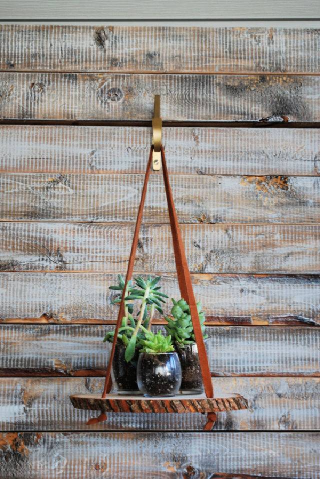 Build a Hanging Wood Slice Plant Stand