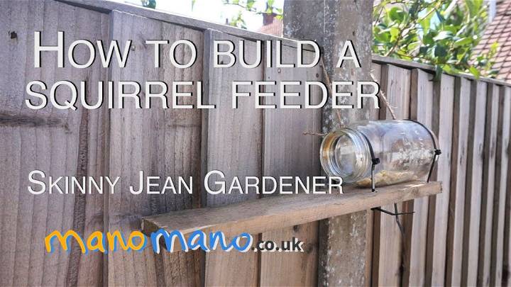 Building a Squirrel Feeder at Home