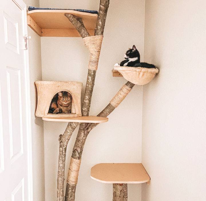 Best Cat Tree Building Plans