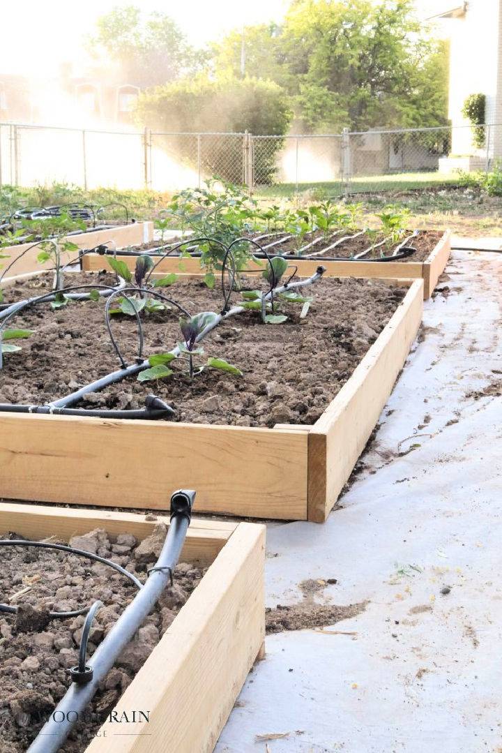 Create Your Own Raised Garden Beds