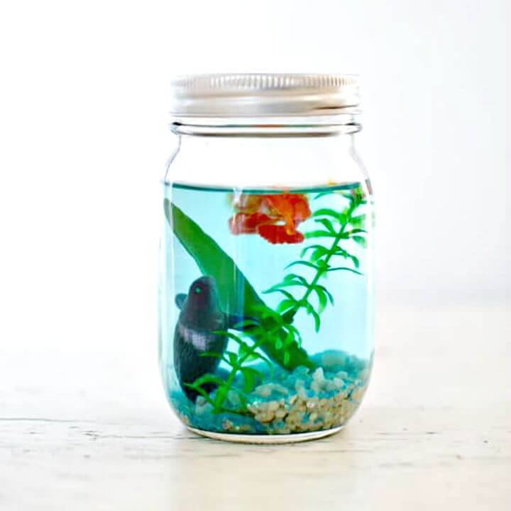 Easy DIY Mason Jar Aquarium