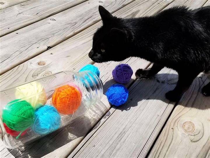 Homemade Cat Toy