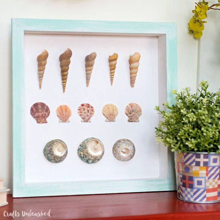 Homemade Shell Specimen Wall Art