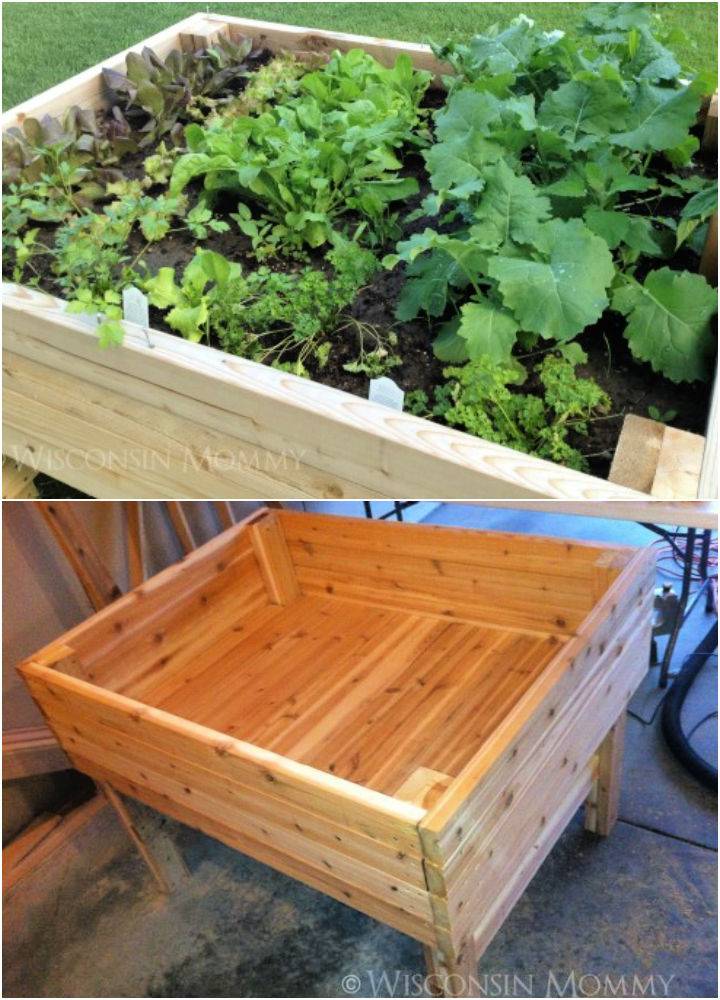 How to Build Elevated Raised Garden Bed