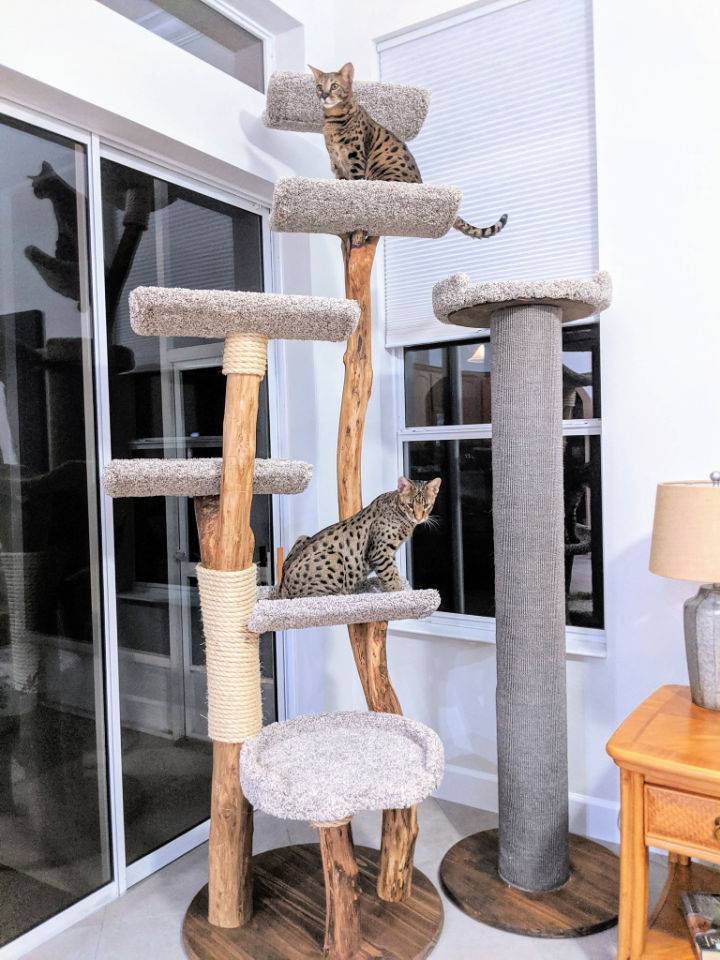 How to Make Your Own Cat Tree