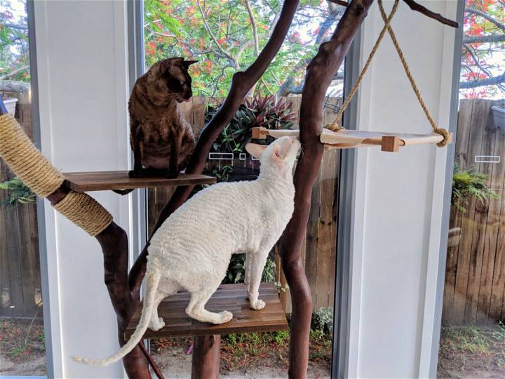 Make Your Own Cat Tree