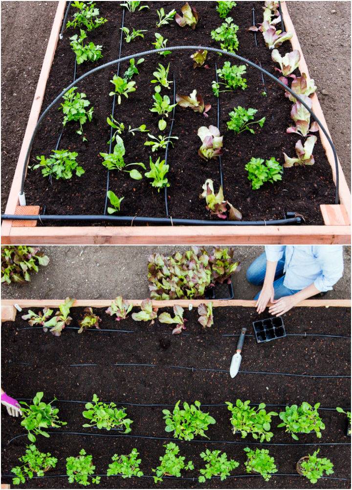 Make a Ultimate Raised Bed