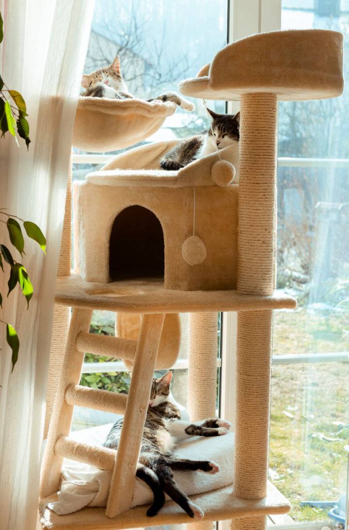 Making a Cat Tower Out of Wood and Pvc Pipe