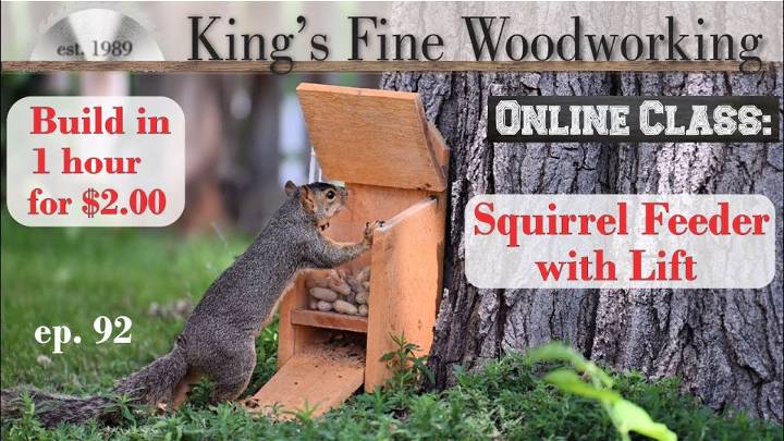 DIY Squirrel Feeder in an Hour