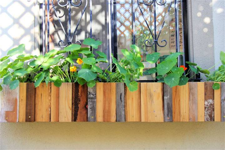 Planter Box for Window With Bar