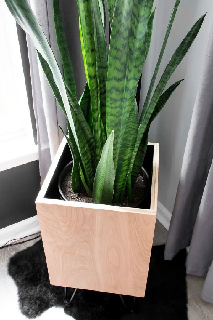 DIY Plywood Planter With Hairpin Legs