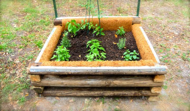 Square Shaped Raised Garden Bed