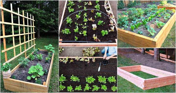 inexpensive raised garden bed ideas - free plans to DIY