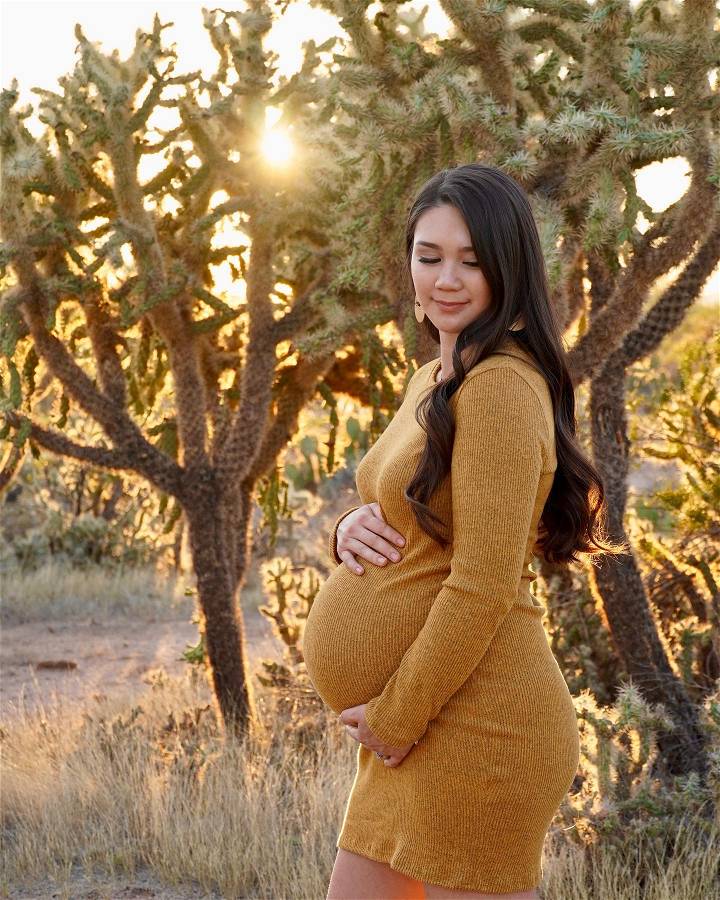 pregnancy photoshoot ideas at home
