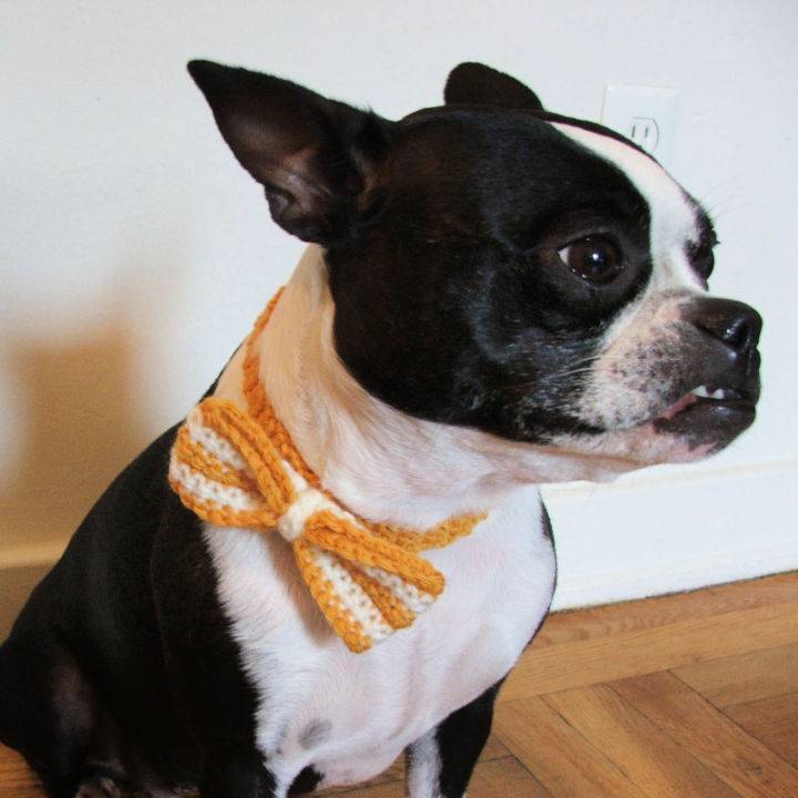 Crochet Bow Tie for Dogs