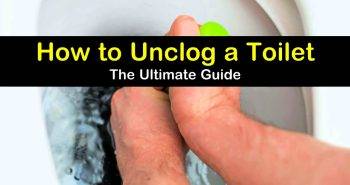 Easy Ways to Unclog a Toilet