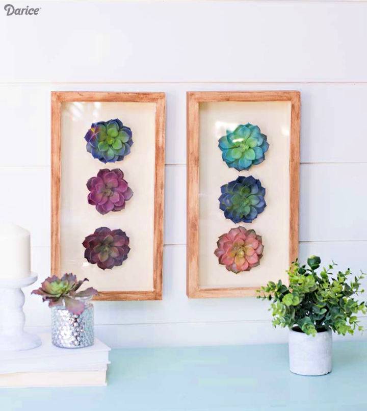 How to Make a Succulent Shadow Box