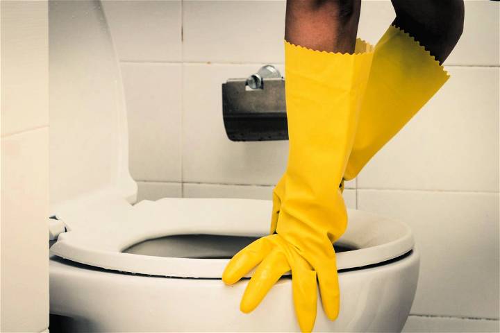 Learn how to unclog a toilet quickly