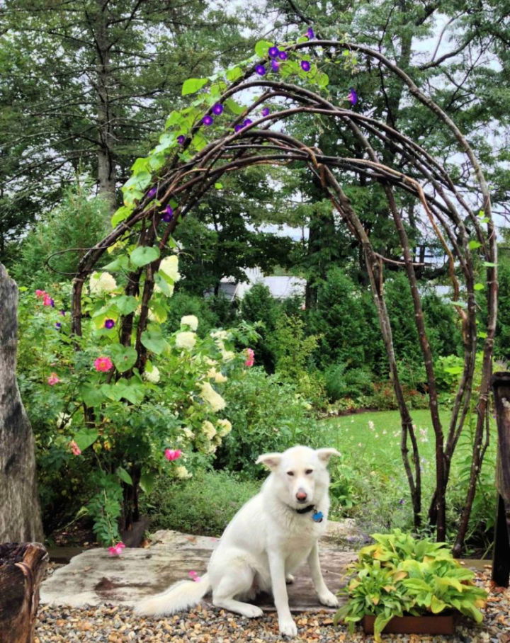 Make a Rustic Style Bamboo Arbor