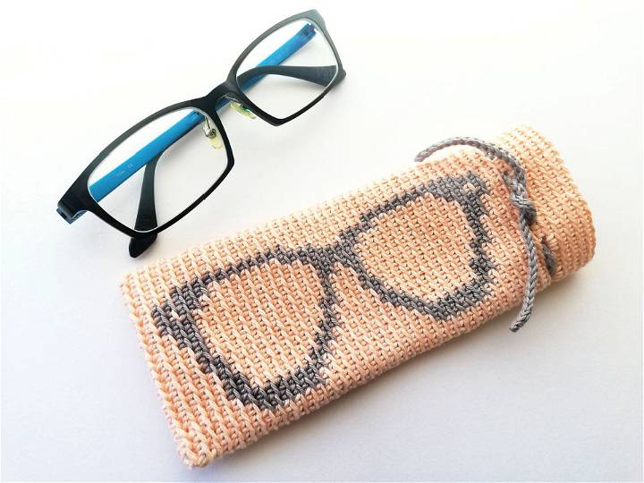 Tapestry Crochet Bag for Glasses Free Pattern