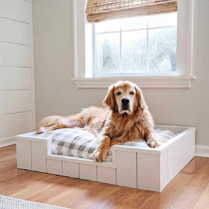 Make a Dog Bed With Shiplap