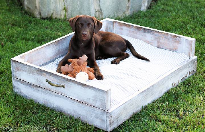 Do It Your Self Wooden Dog Bed