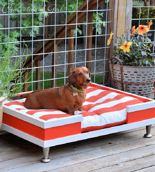 Modern DIY Wooden Dog Bed
