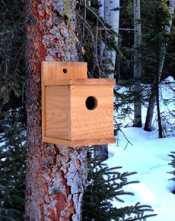 Modern DIY Cedar Birdhouse Under $1