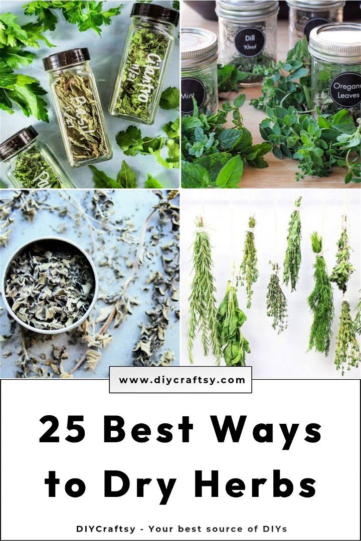 25 best ways to dry herbs