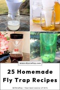 25 Homemade DIY Fly Trap Ideas to Catch Flies Fast