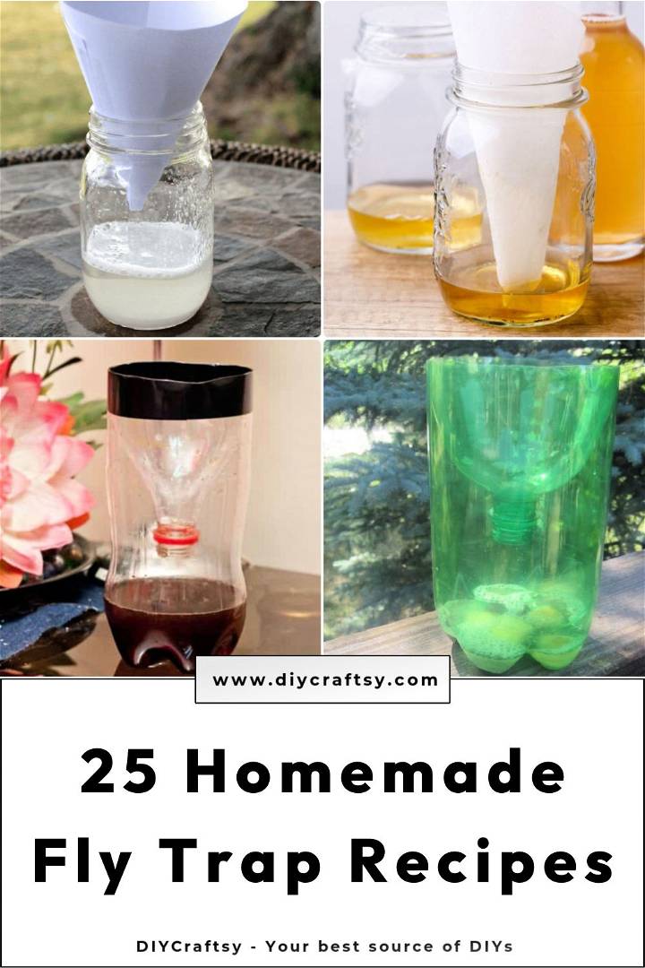 25 homemade fly trap recipes