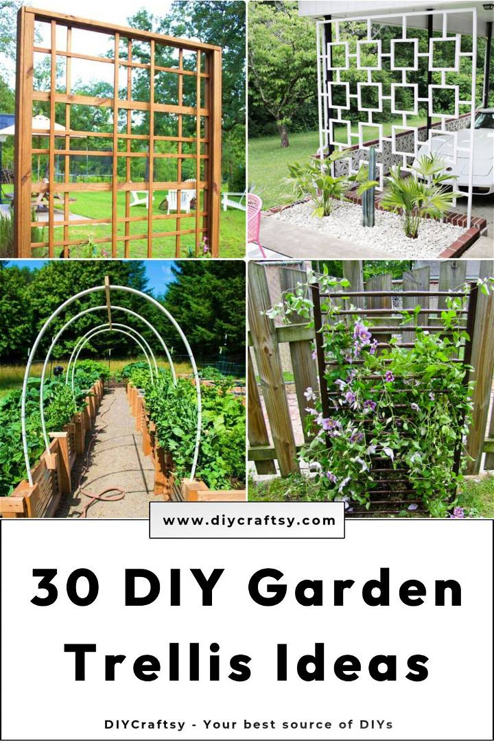 30 DIY Trellis Ideas for Your Garden