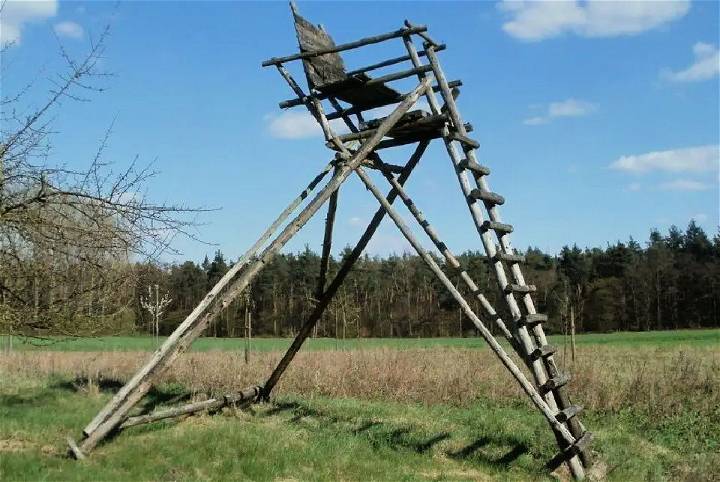 Build a Ladder Stand for Deer Hunting