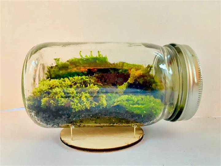 Build a Mason Jar Terrarium at Home