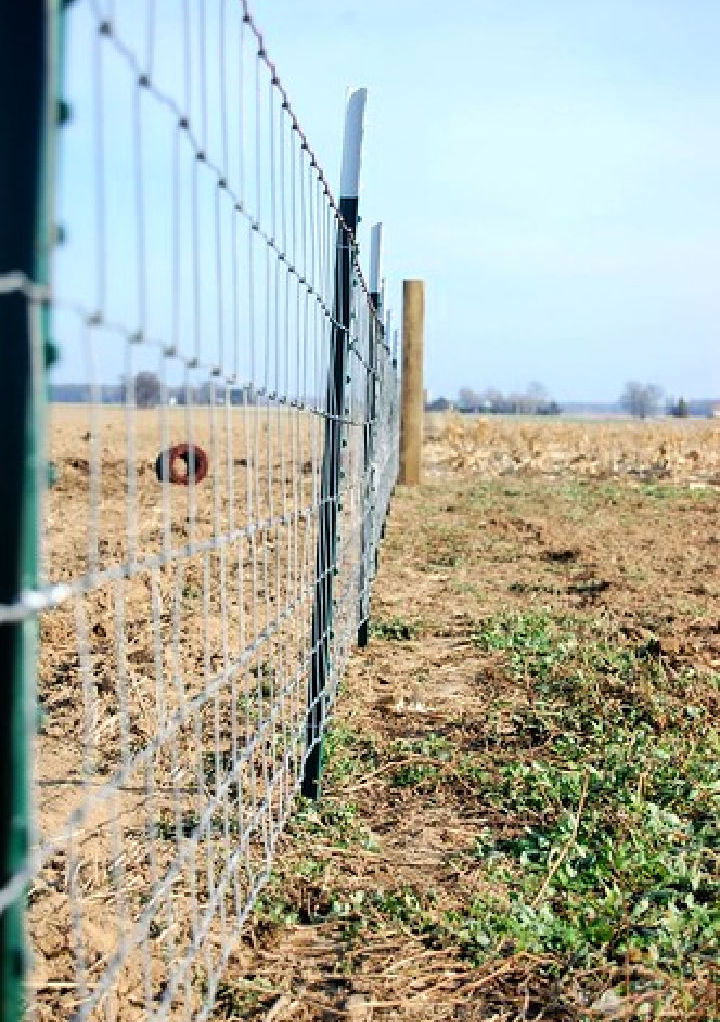 Build a Wire Fence With Metal Posts