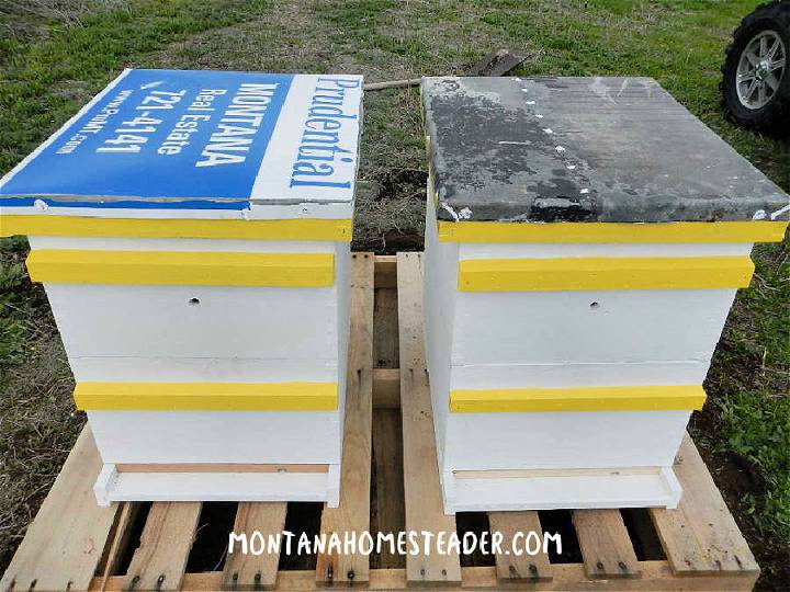 Cheap DIY 10 Frame Langstroth Beehive