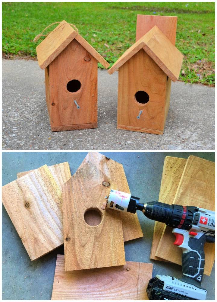 Building Your Own Birdhouse