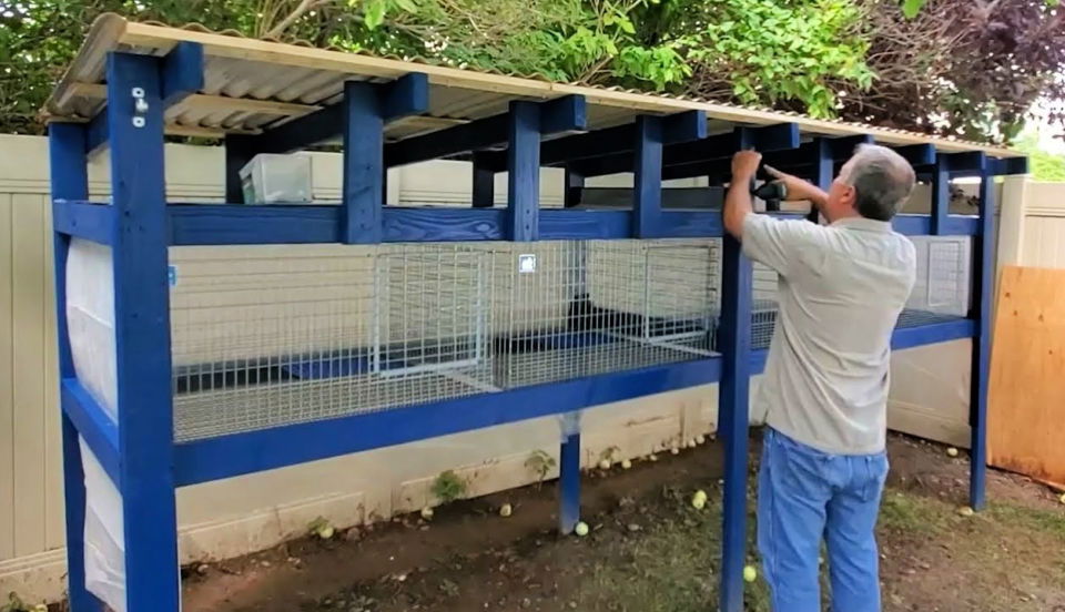 Building a Rabbit Hutch With KW Cages