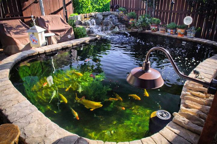 Build a 4,000 Gallon Fishpond at Home