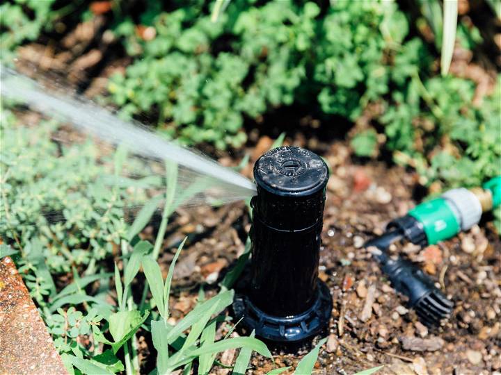 Cheap DIY Automatic Lawn Sprinkler System