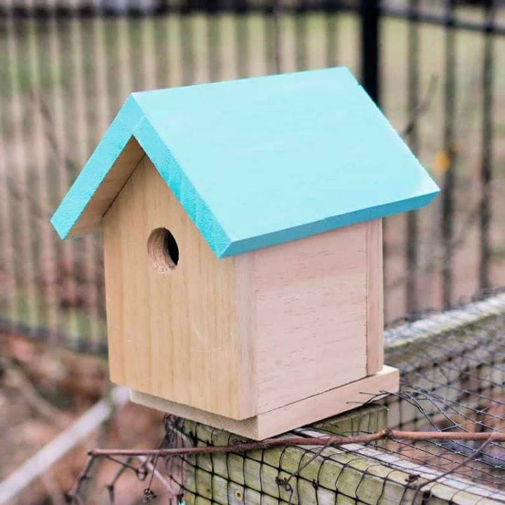DIY Bird House Using Pine Board