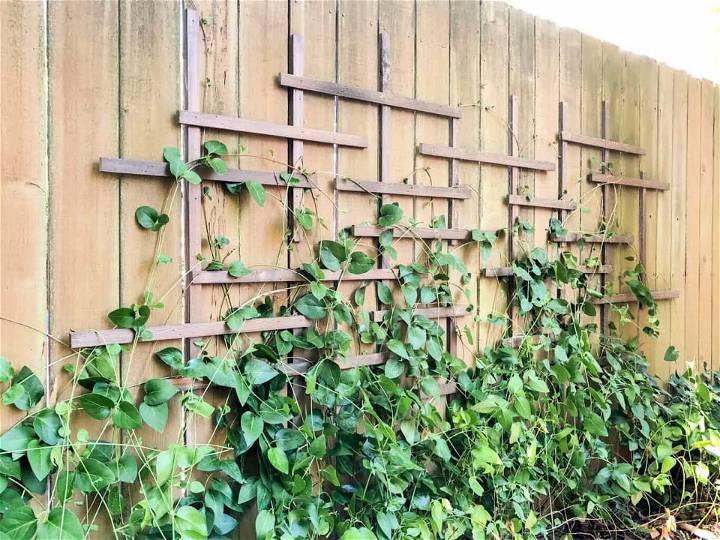 DIY Clematis Trellis for a Fence