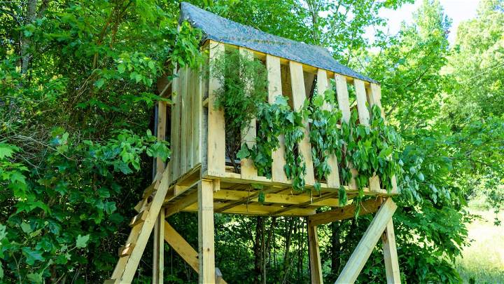 How to Make Deer Blind From Pallets