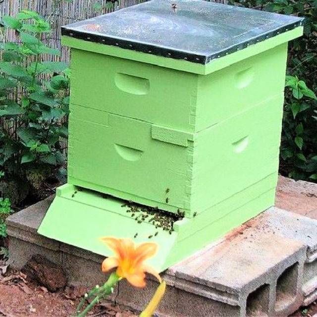 How to Make a Wooden Beehive