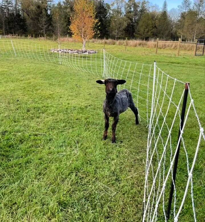 How to Make Woven Wire Fence