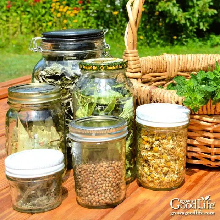 Drying Herbs to Add Flavor to Your Meals