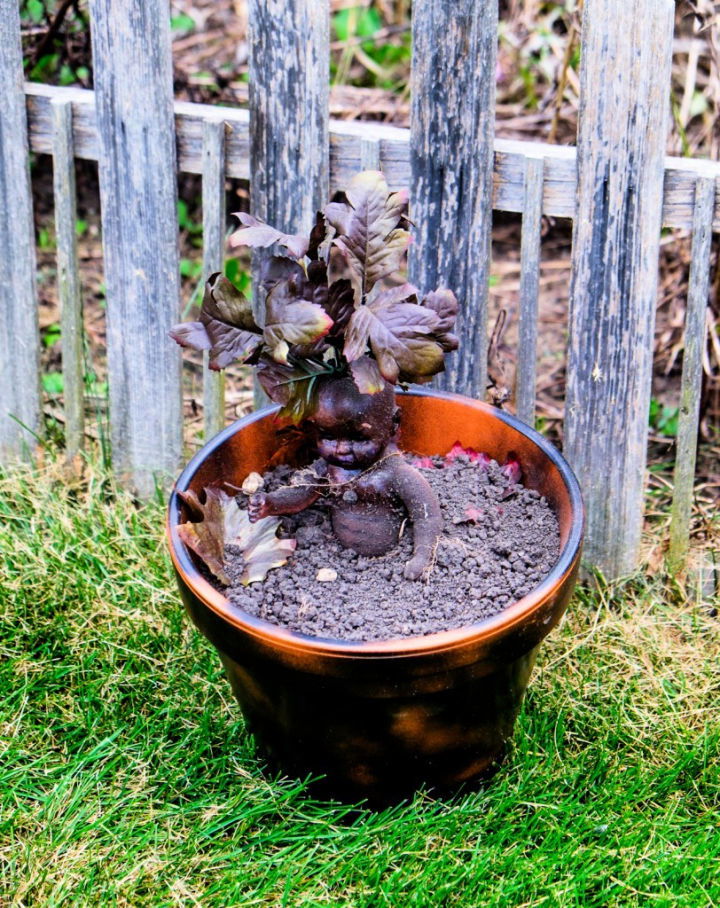 DIY Harry Potter Mandrake