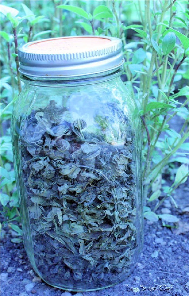 Easy Way to Dry Fresh Herbs Without a Dehydrator