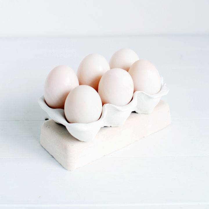 Egg Carton Craft With Air Dry Clay